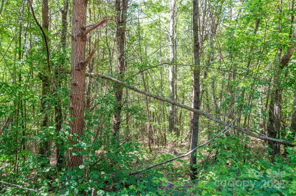 Lot #13 Meadow Crossing Drive, Rutherfordton, NC 28139