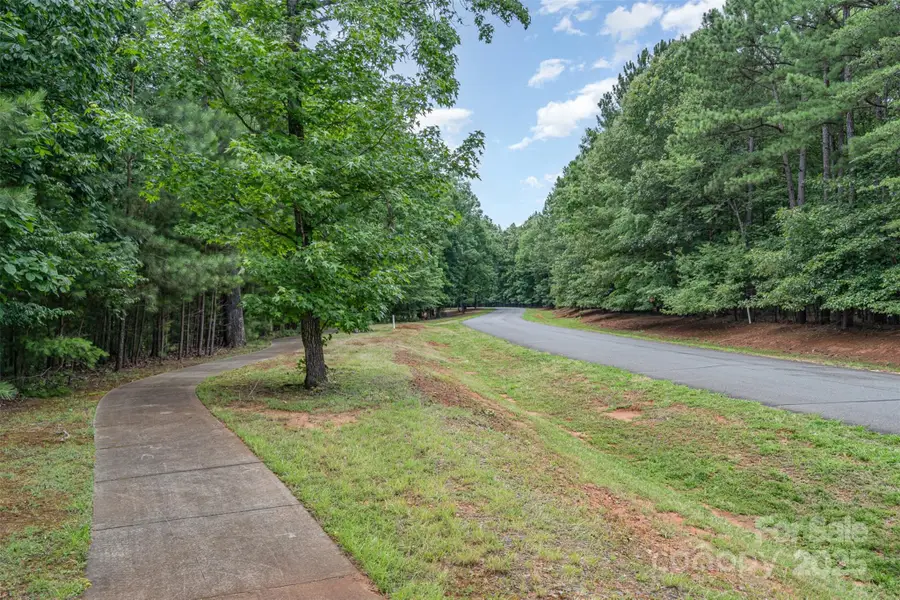 14229 Roe Buck Meadow Lane, Charlotte, NC 28278 - Image #3
