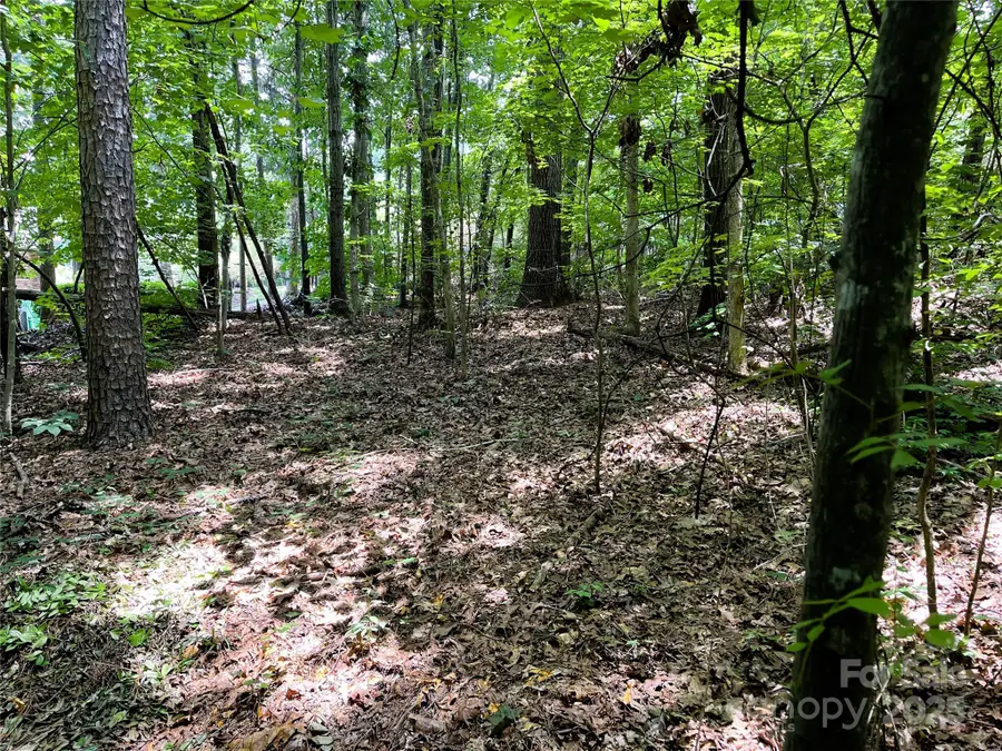 4225 Nicole Eileen Lane, Charlotte, NC 28216 - Image #2