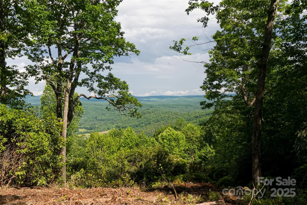 99999 Reserve Road, Pisgah Forest, NC 28768 - Image #1