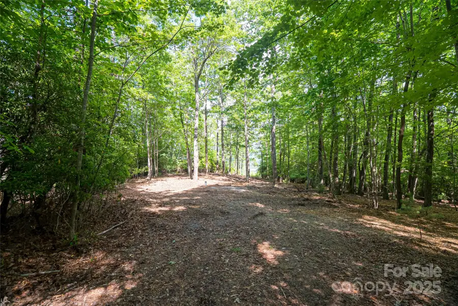 99999 Reserve Road, Pisgah Forest, NC 28768 - Image #3