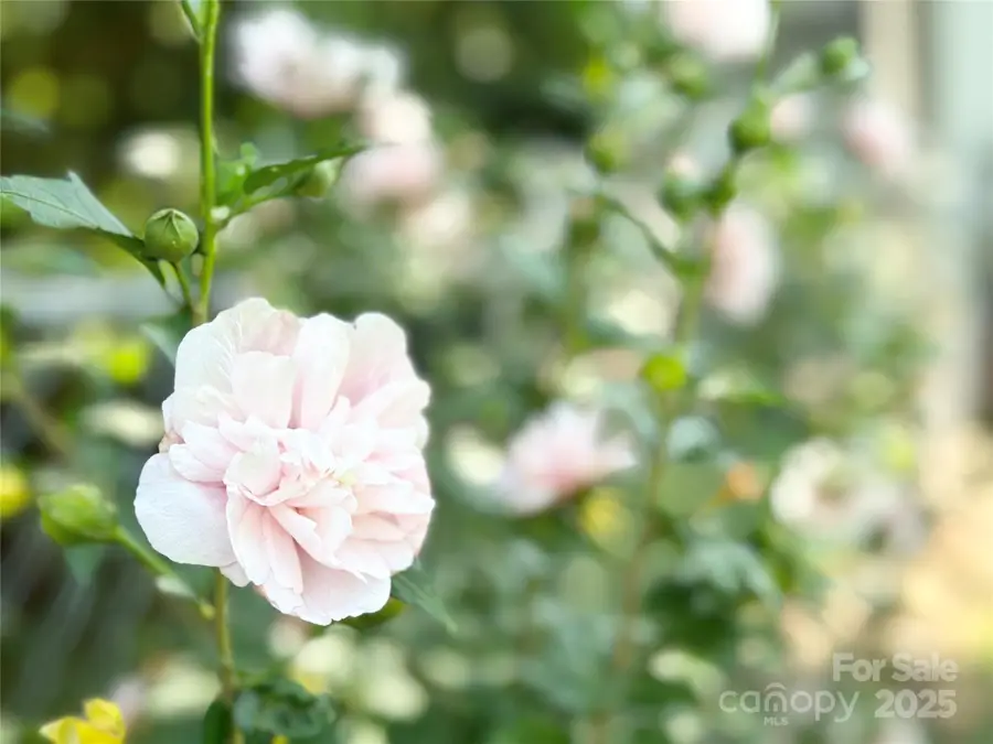 1164 Hidden Lake Drive #10, Granite Falls, NC 28630 - Image #3