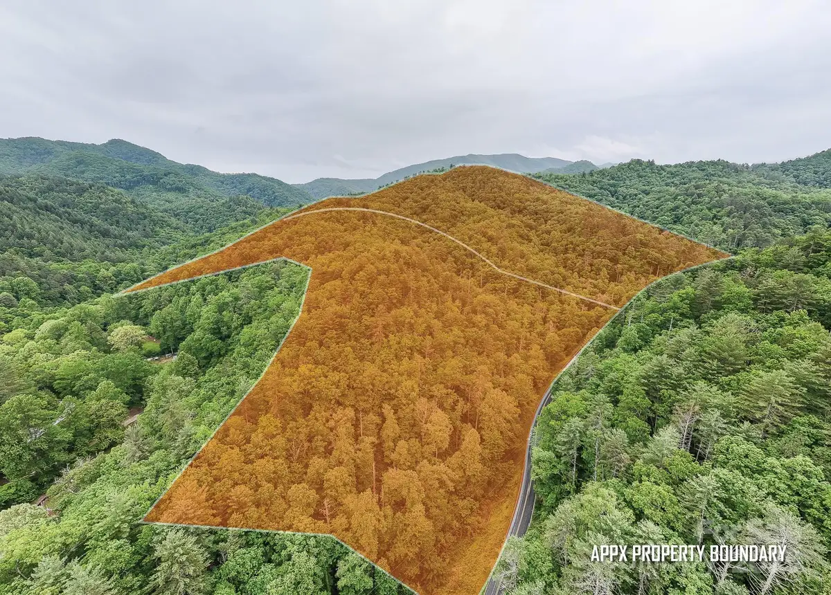 399 Shell Stand Road, Almond, NC 28702 - Image #1