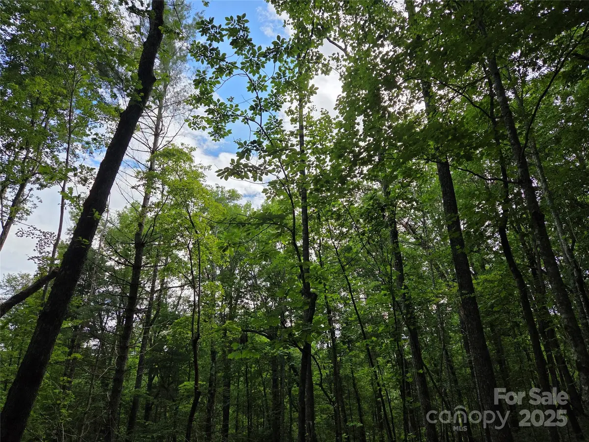 TBD Cedar Lane, Brevard, NC 28712 - Image #1