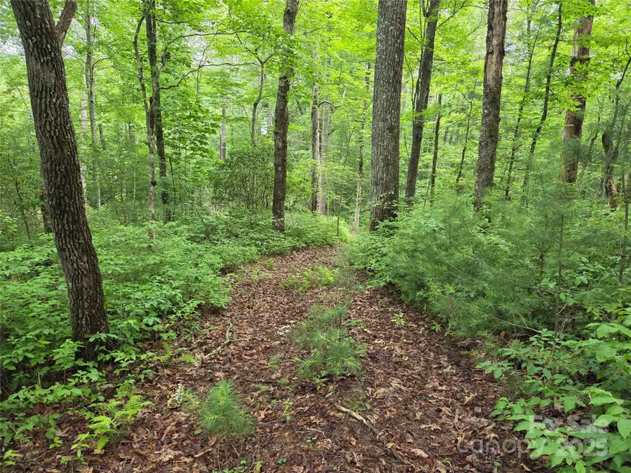 TBD Cedar Lane, Brevard, NC 28712 - Image #3