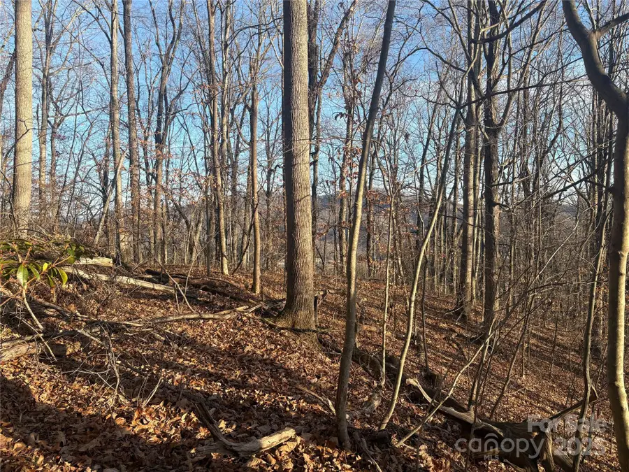 TBD Upward Way #236 & 237, Waynesville, NC 28785 - Image #2