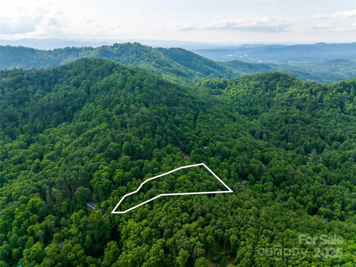 9999 White Oak Gap Road, Asheville, NC 28803 - Image #1