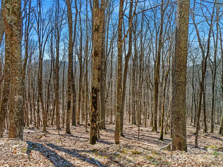 00 Tearshirt Lane #308/309, Mars Hill, NC 28754 - Image #2