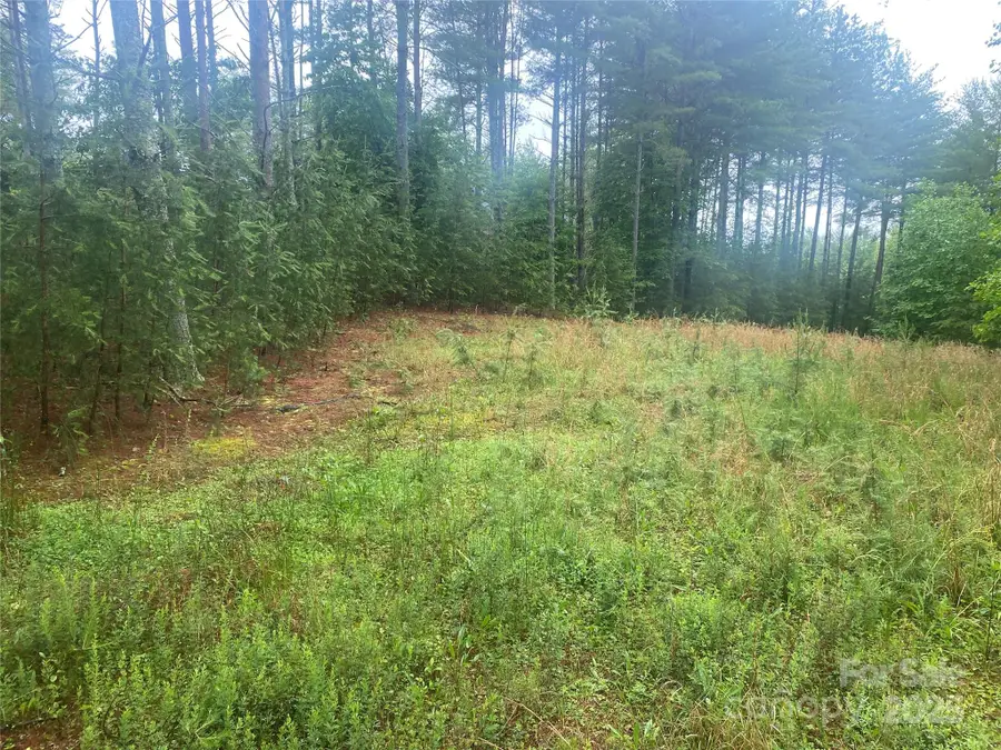 V/L Hunt Camp Drive #59, Nebo, NC 28761 - Image #2