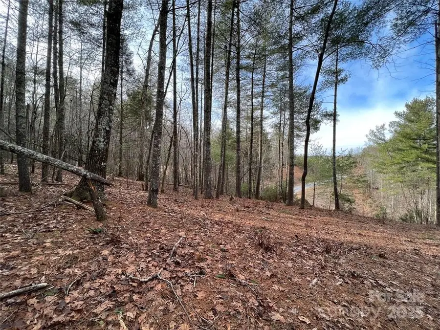 3.16 acres Lot 77, 1712 Round Mountain Parkway #77, Lenoir, NC 28645 - Image #2