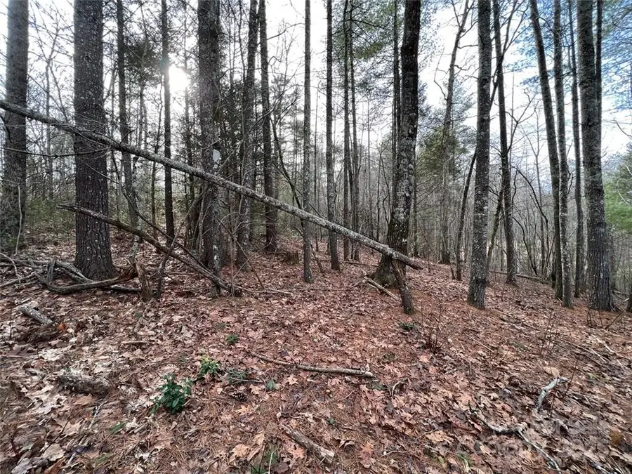 3.16 acres Lot 77, 1712 Round Mountain Parkway #77, Lenoir, NC 28645 - Image #3