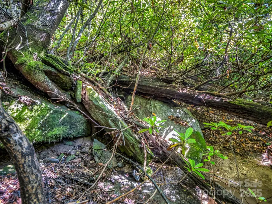 TBD Climbing Road, Hendersonville, NC 28792 - Image #2