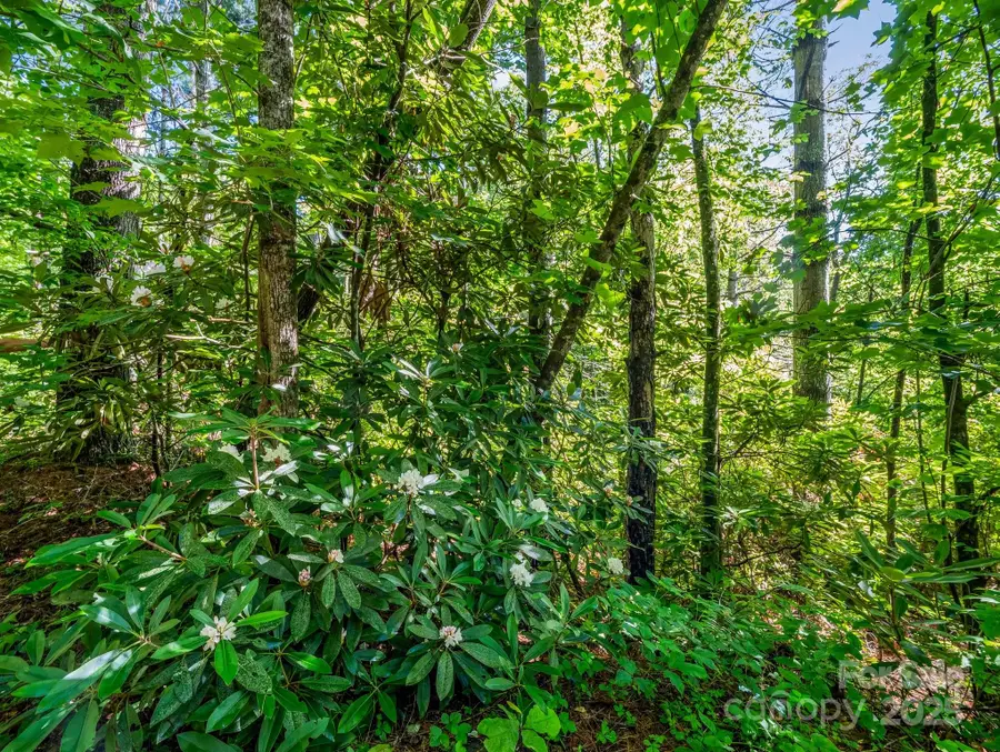 TBD Climbing Road, Hendersonville, NC 28792 - Image #3