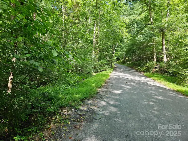 0 Sandpiper Avenue #163, Lake Lure, NC 28746