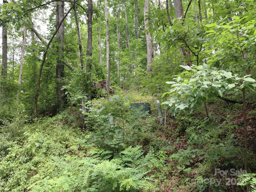 0 Hyde Well Drive #8, Hendersonville, NC 28792 - Image #3