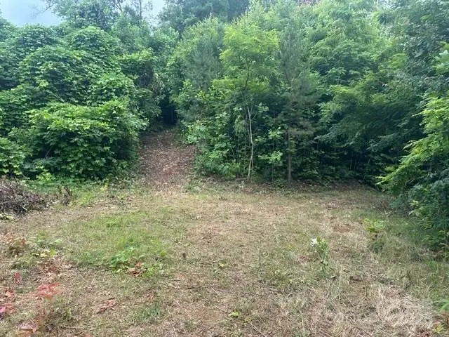 0 Cope Creek Road, Sylva, NC 28779 - Image #2