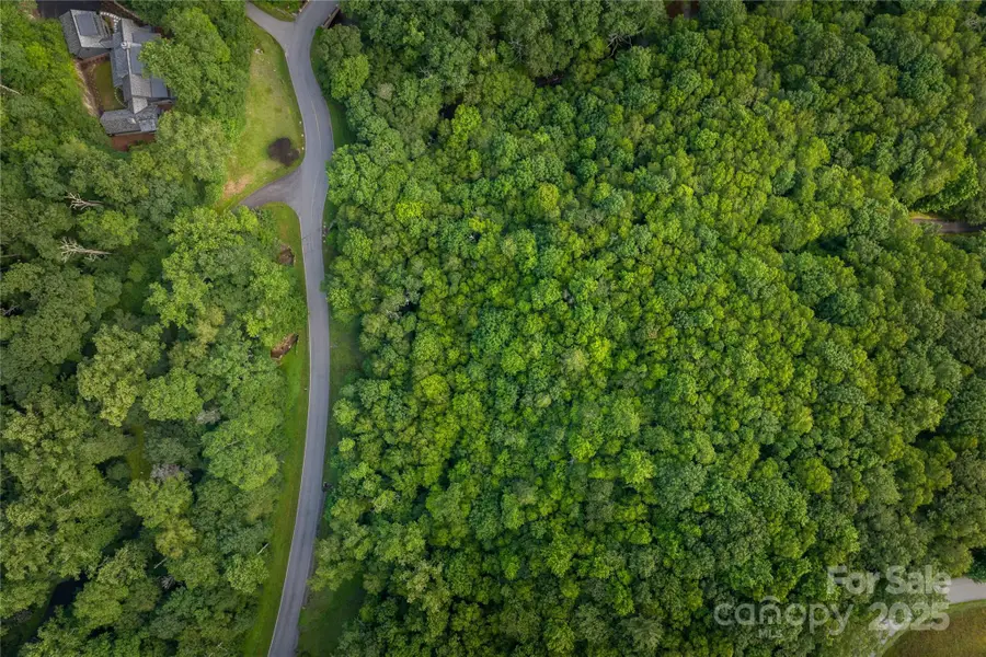 TBD Lot 106 Firethorn Trail #106, Blowing Rock, NC 28605 - Image #3