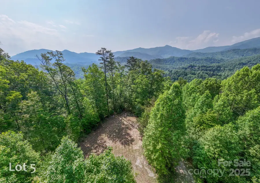 1200 Tobacco Branch Road, Almond, NC 28702 - Image #2