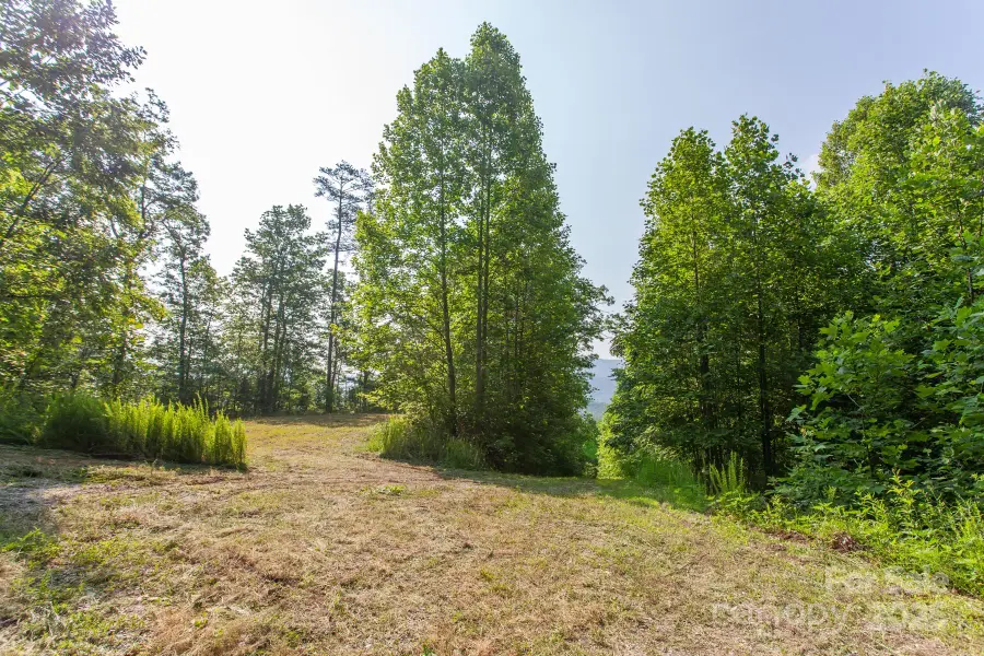 1200 Tobacco Branch Road, Almond, NC 28702 - Image #3