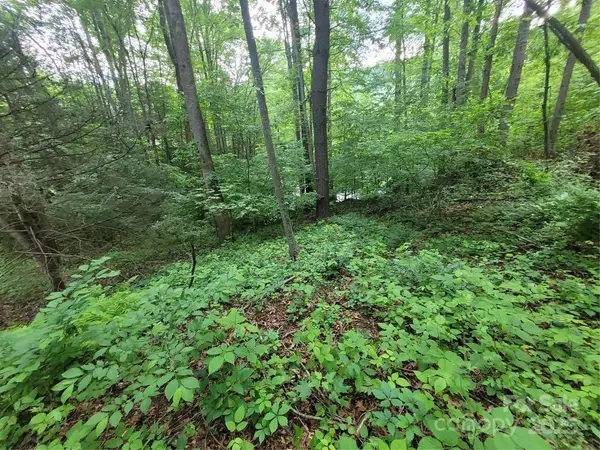 00 Serendipity Lane #111, Waynesville, NC 28785