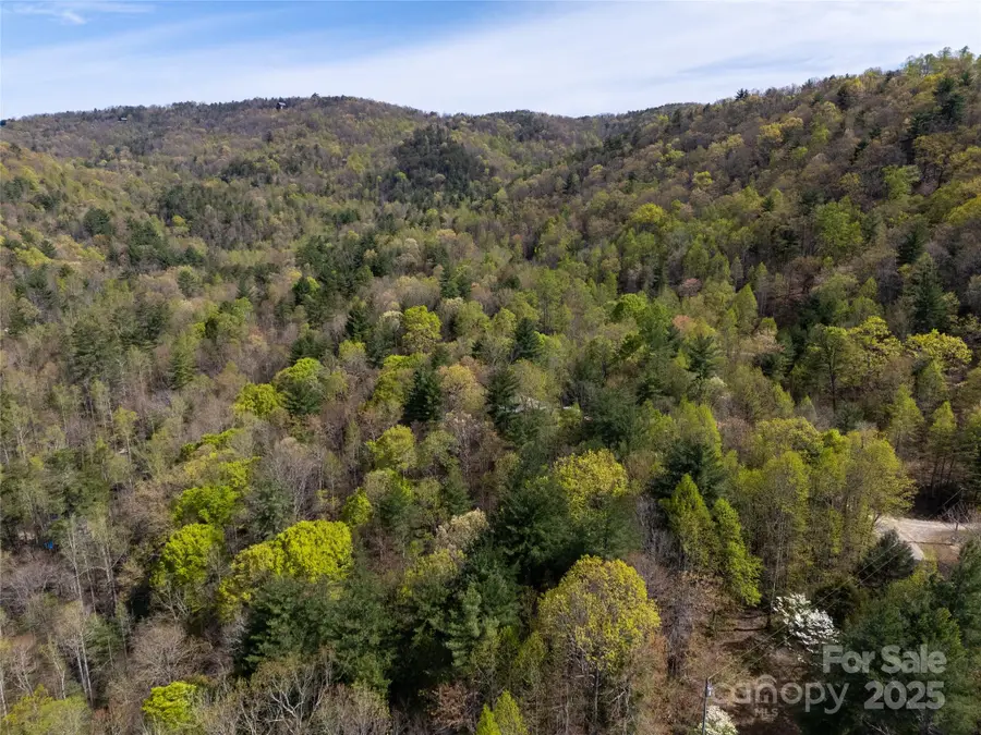 2668 Reedy Branch Road, Purlear, NC 28665 - Image #2