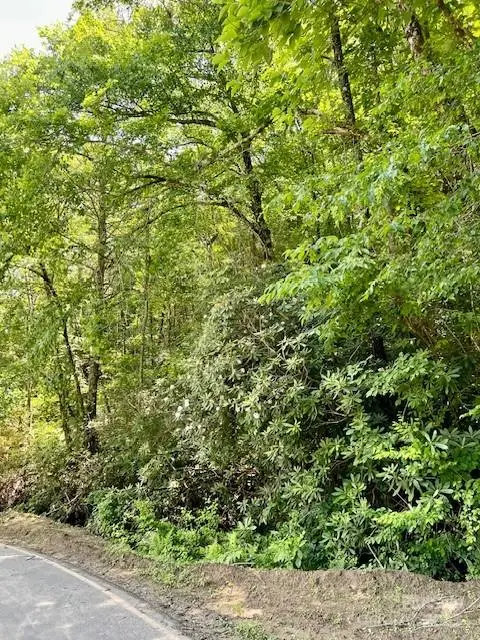 Lots P12-22 & P12-23 Green River Cove Road #22 & 23, Saluda, NC 28773 - Image #2