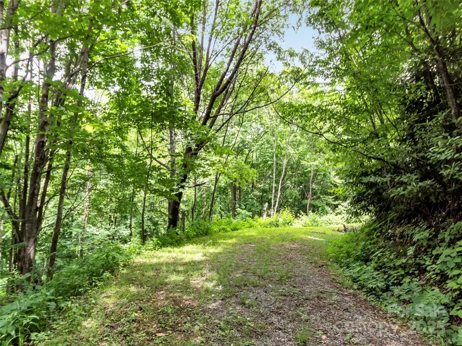 32 Sallywood Trail, Waynesville, NC 28785 - Image #2