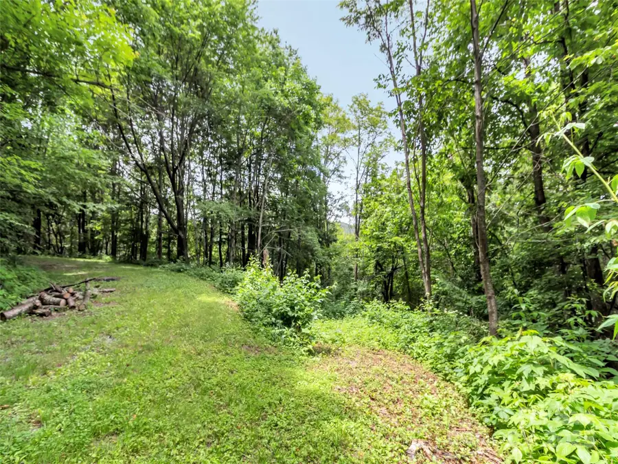 32 Sallywood Trail, Waynesville, NC 28785 - Image #3