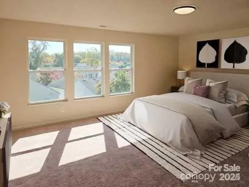 2440 Mint Thistle Court, Charlotte, NC 28269 - Image #2