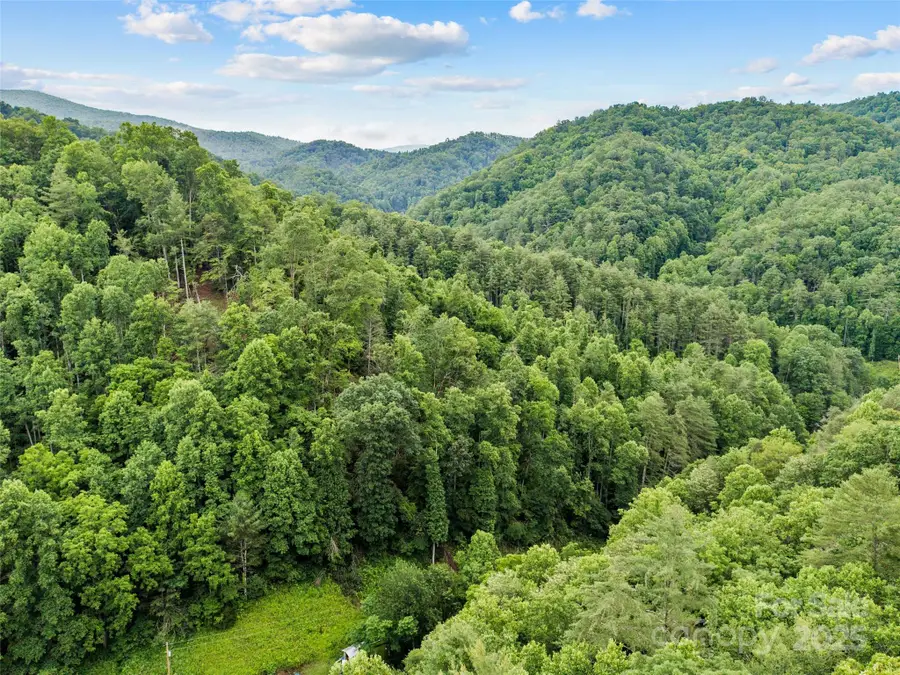 0 Holloway Road, Green Mountain, NC 28740 - Image #2