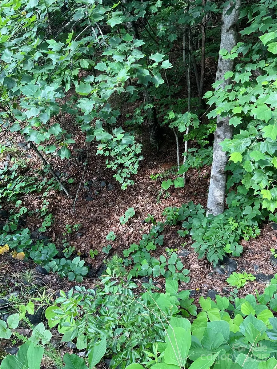 0 Valley View Court, Hickory, NC 28602 - Image #3