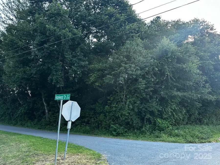 0000 Butler Road, Forest City, NC 28043 - Image #3