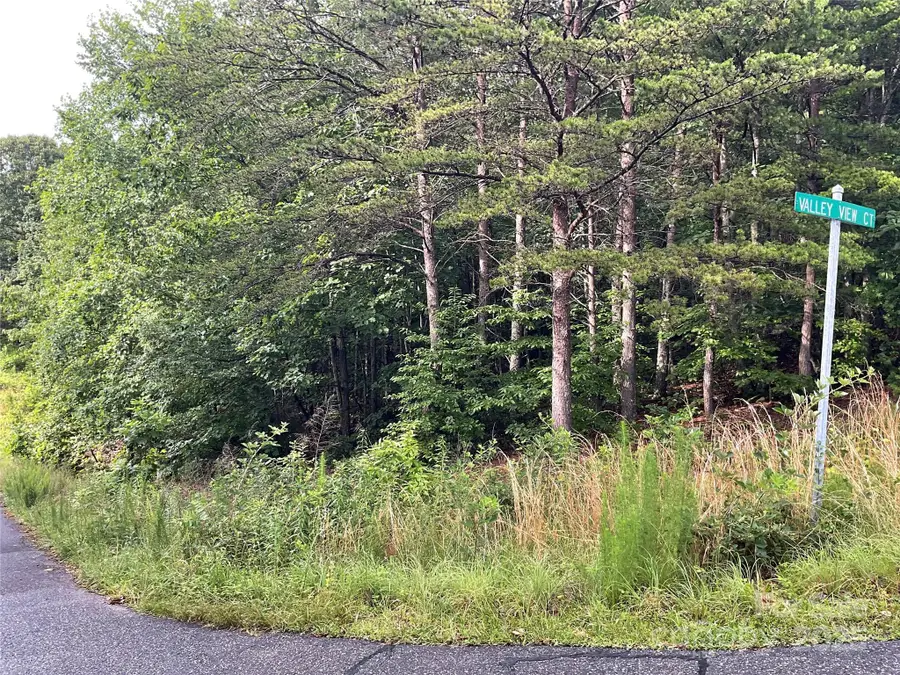 0 Pineknoll Drive, Hickory, NC 28602 - Image #2