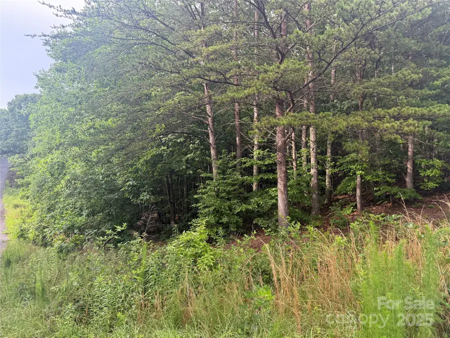 0 Pineknoll Drive, Hickory, NC 28602 - Image #3