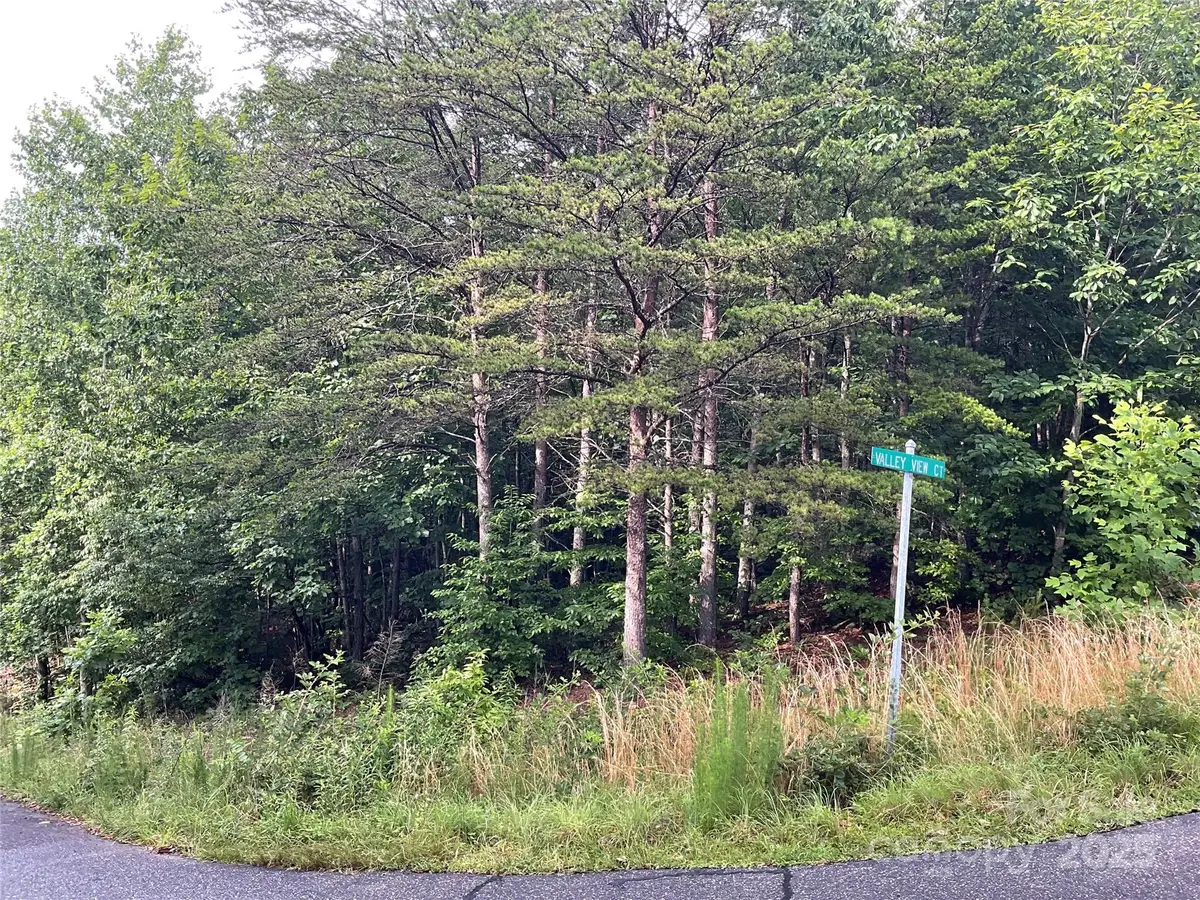 0 Valley View Court, Hickory, NC 28602 - Image #1