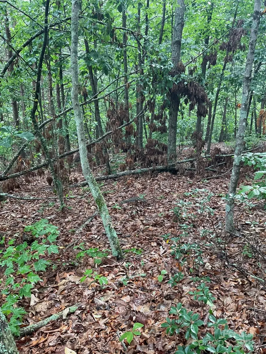 0 Valley View Court, Hickory, NC 28602 - Image #3