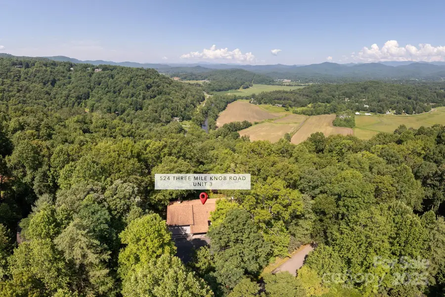 524 Three Mile Knob Road #3, Pisgah Forest, NC 28768 - Image #2