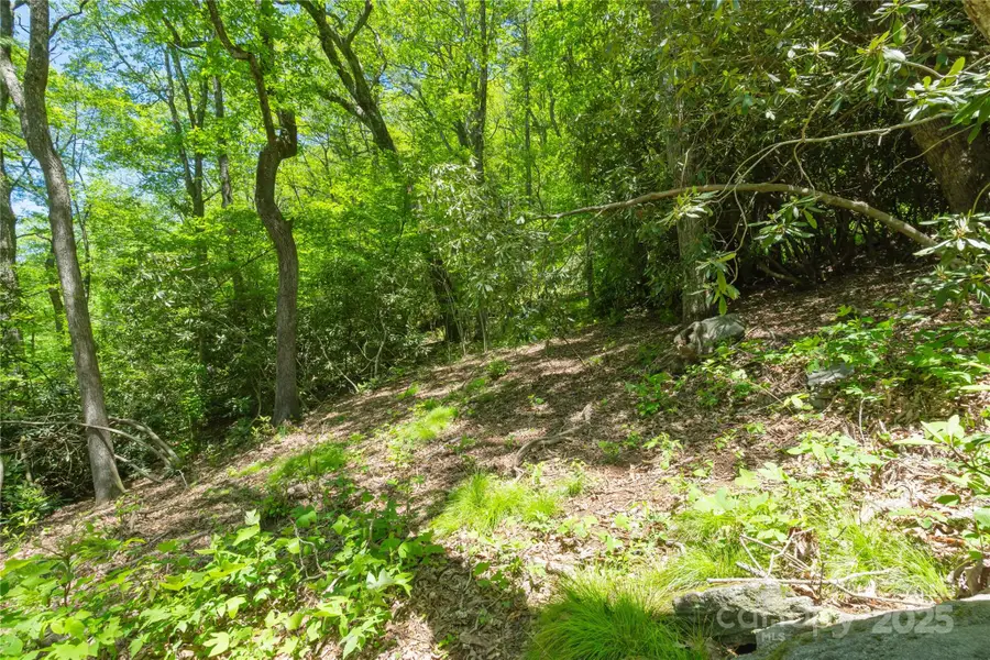 TBD Upper Lake Road #69, Highlands, NC 28741 - Image #3