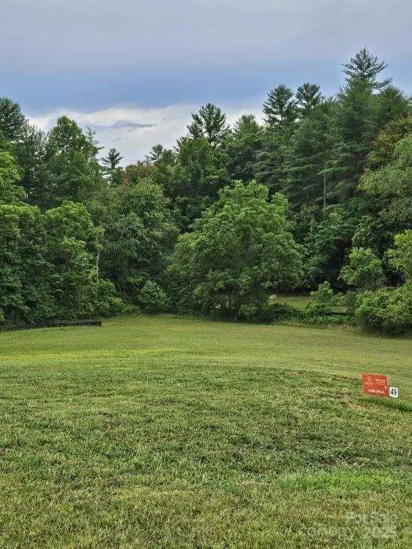 9999 Settlers Trail #49, Mars Hill, NC 28754 - Image #3