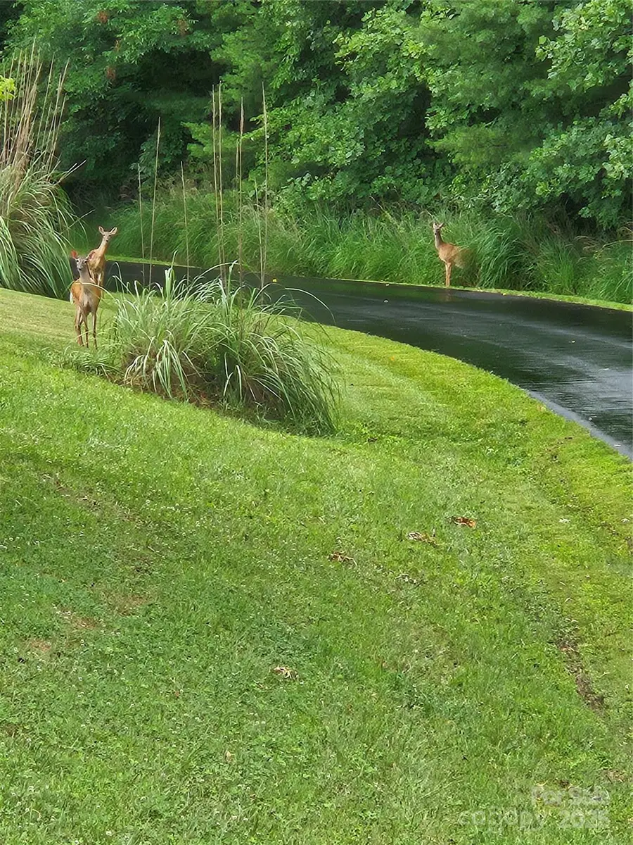 9999 Settlers Trail #52, Mars Hill, NC 28754 - Image #3