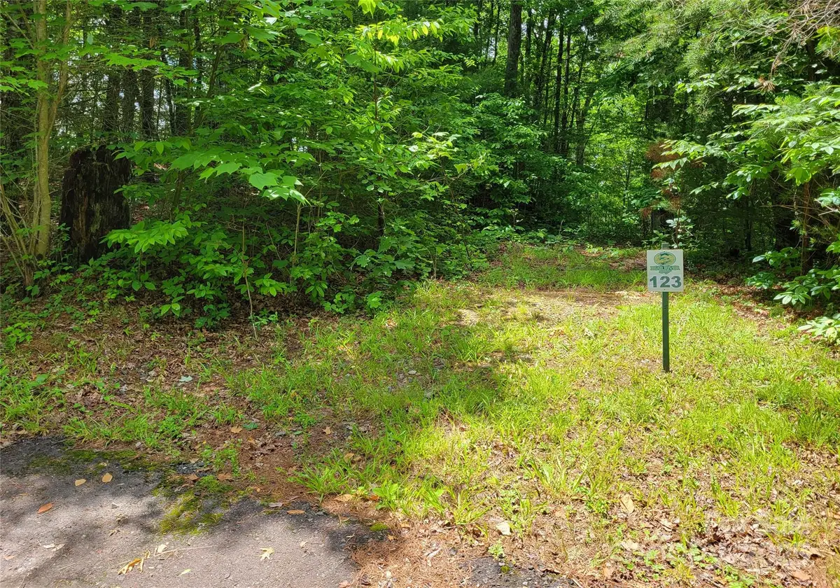 TBD Bear River Lodge Trail #124, Marshall, NC 28753 - Image #1