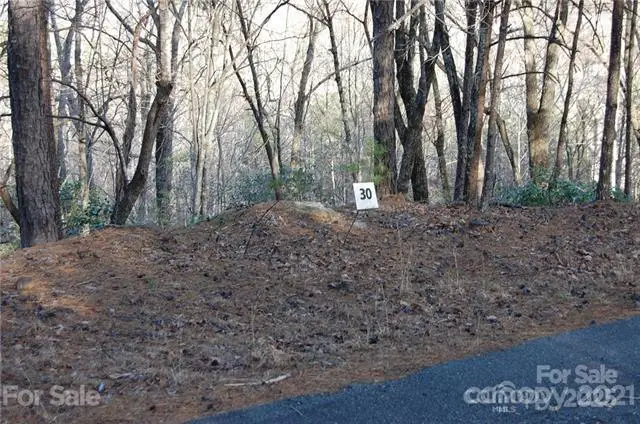 Lot 30 Summit Court #30, Lake Lure, NC 28746 - Image #3
