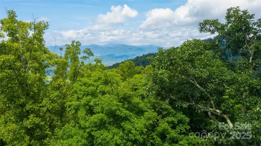Lot 22 Spring Rock Road, Burnsville, NC 28714 - Image #2