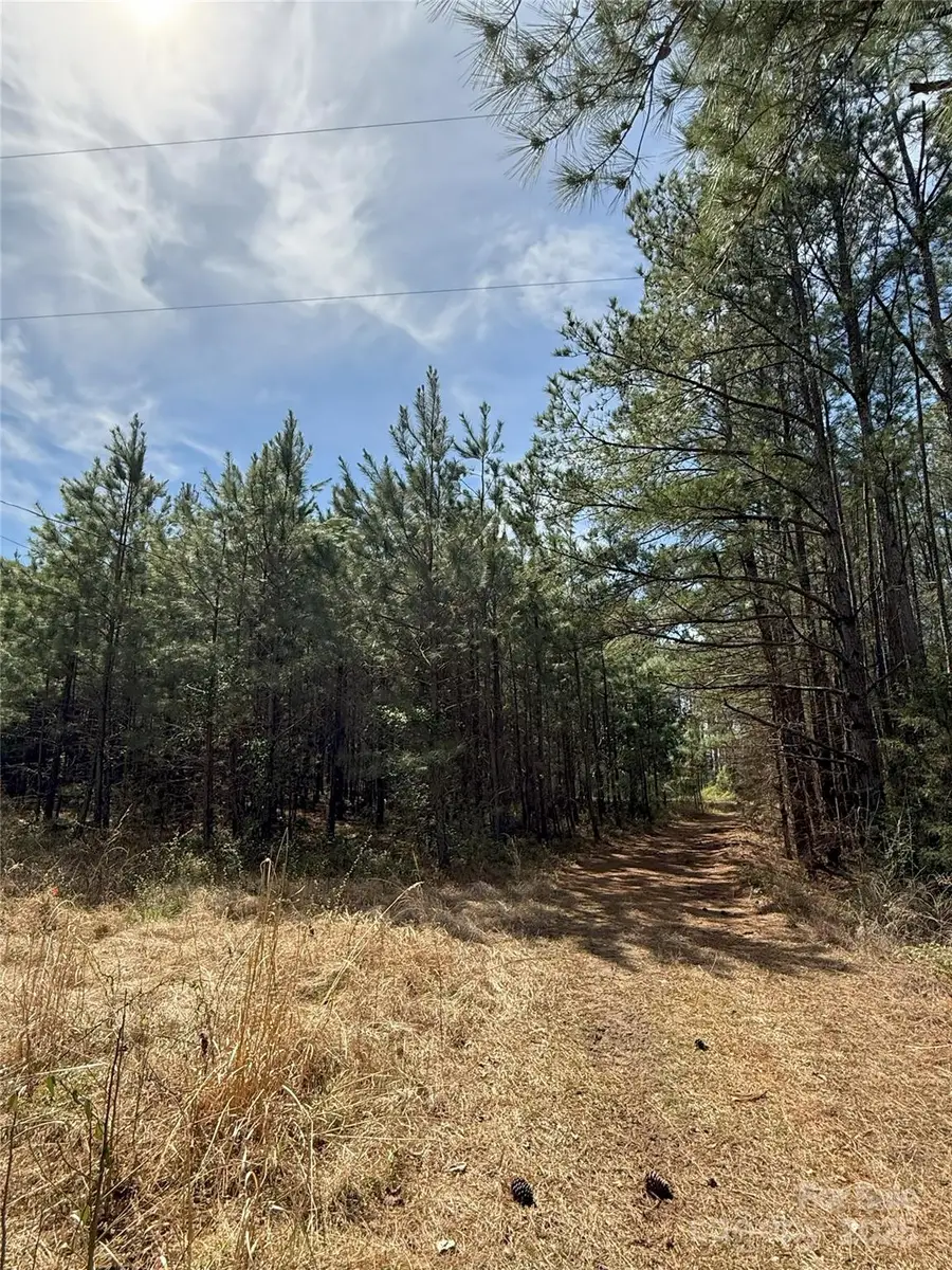 656 Skyline Drive, Chester, SC 29706 - Image #3