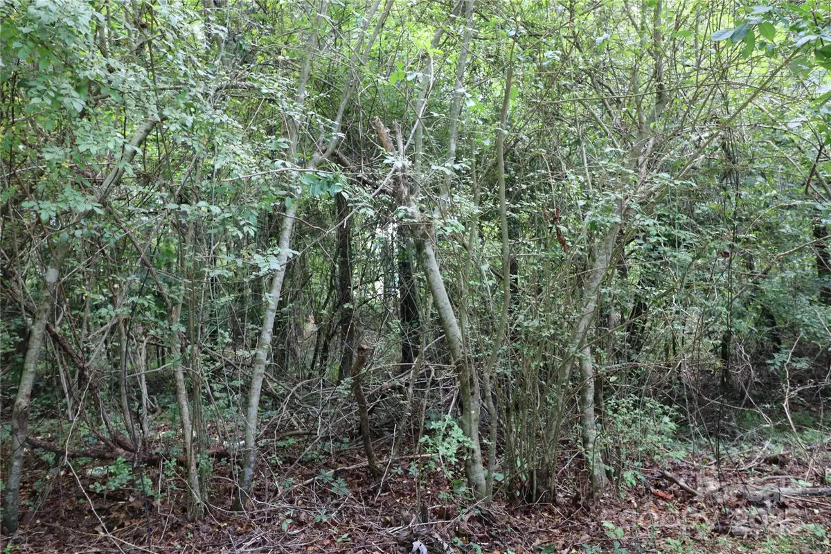 0 Whispering Pines Circle, Forest City, NC 28043 - Image #1