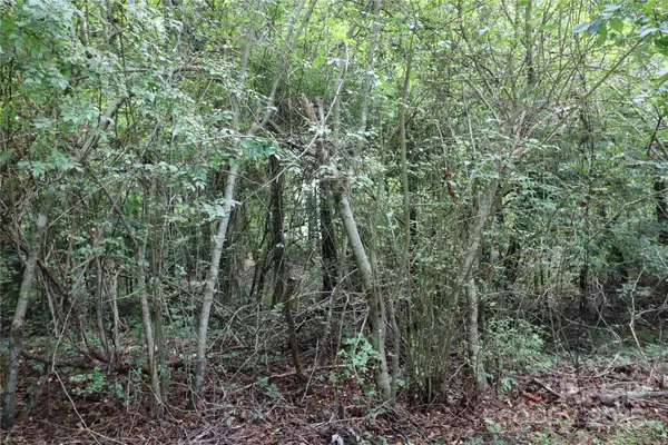 0 Whispering Pines Circle, Forest City, NC 28043