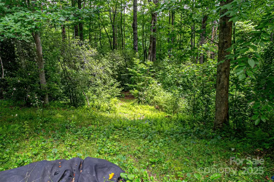 164 Horseplay Lane, Lake Toxaway, NC 28747 - Image #3