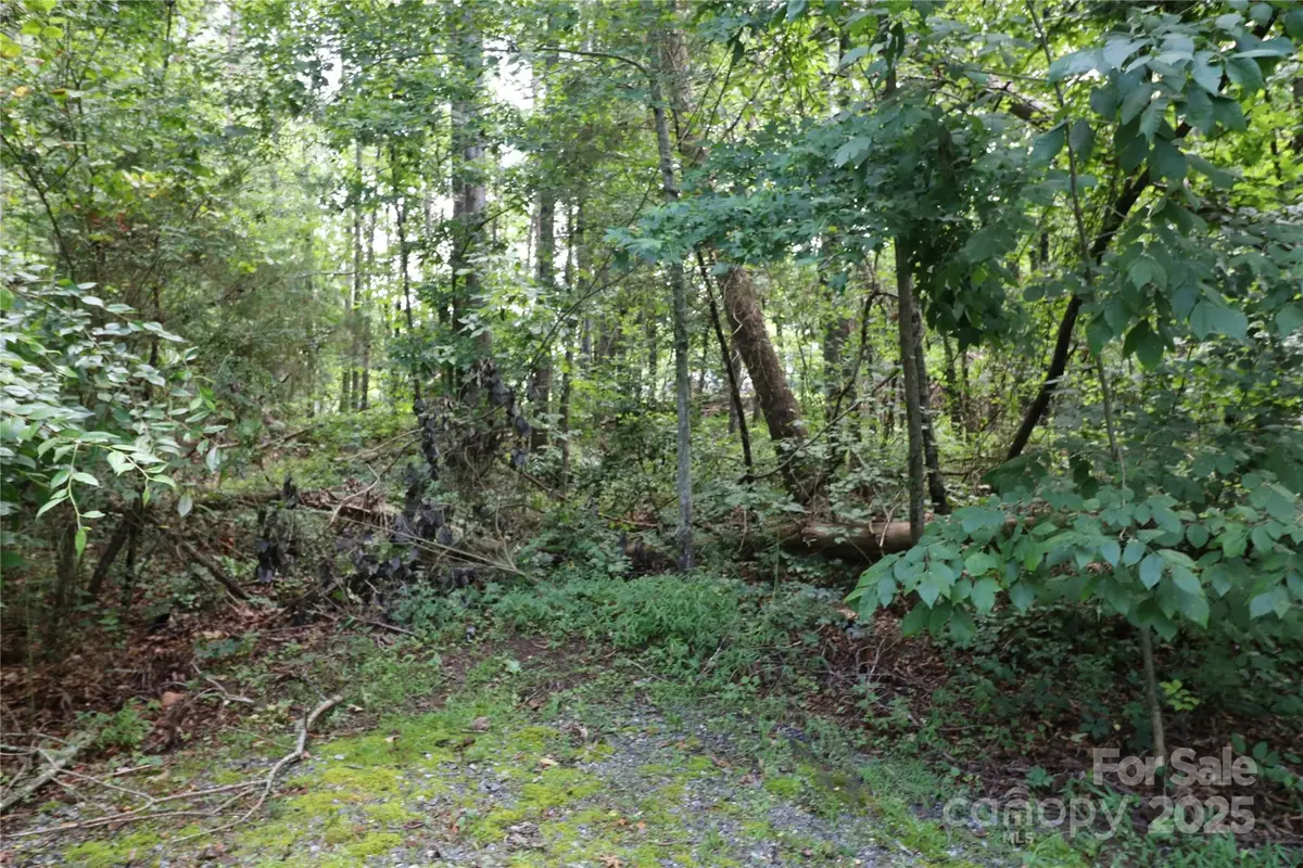 0 Shady Nook Circle, Forest City, NC 28043 - Image #1