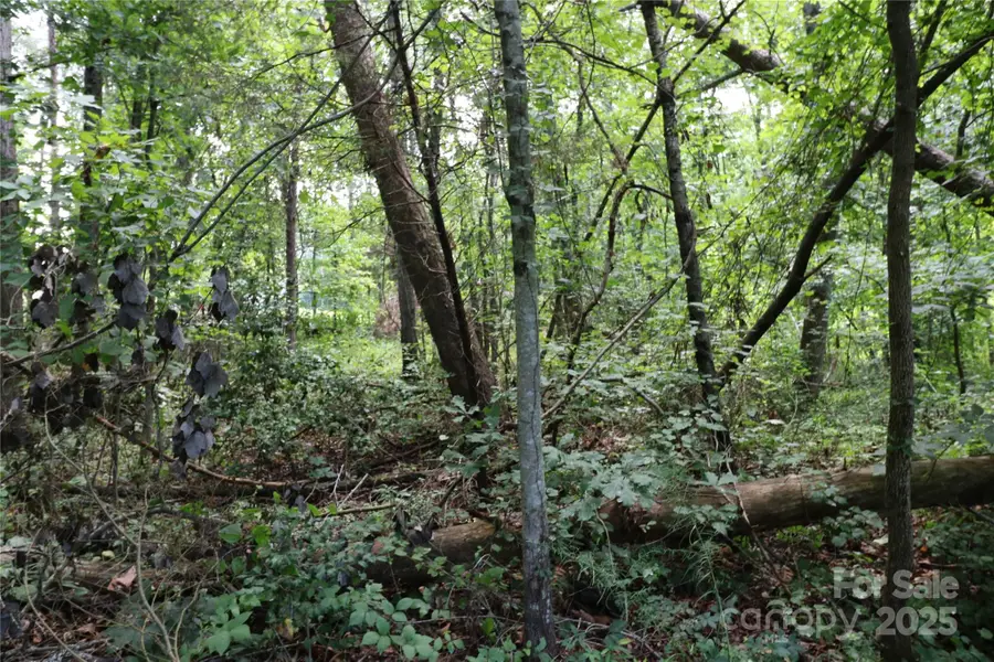 0 Shady Nook Circle, Forest City, NC 28043 - Image #2