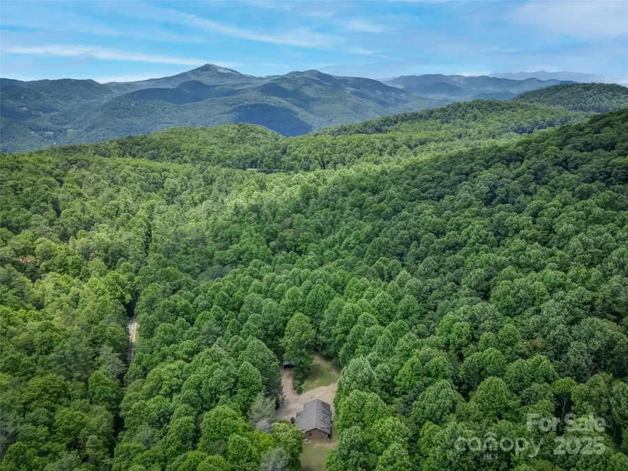 186 Sloshy Branch Trail, Black Mountain, NC 28711 - Image #2